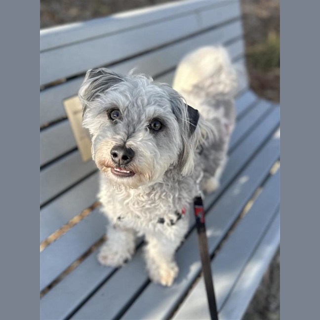 Photo of Sunny