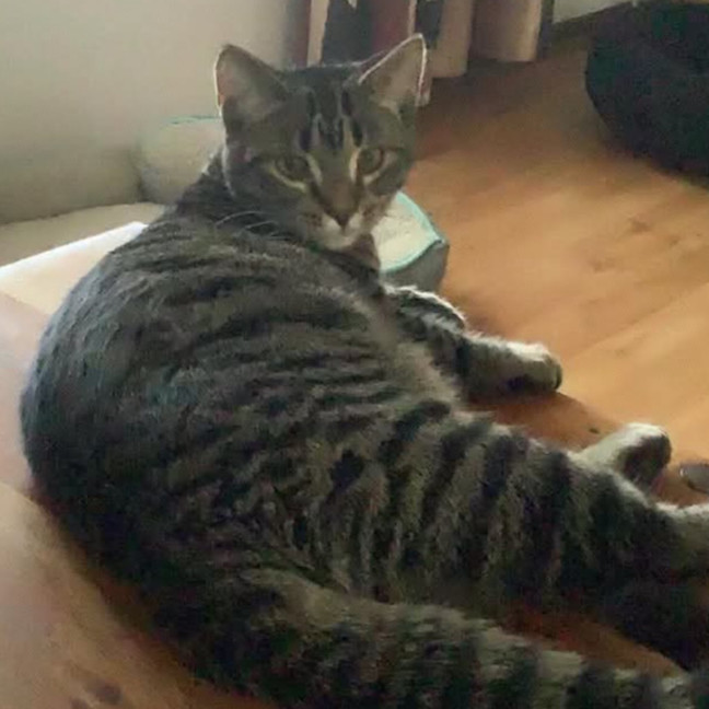 Photo of Hewie