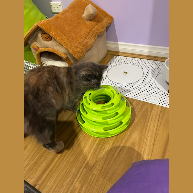 Photo of Riley