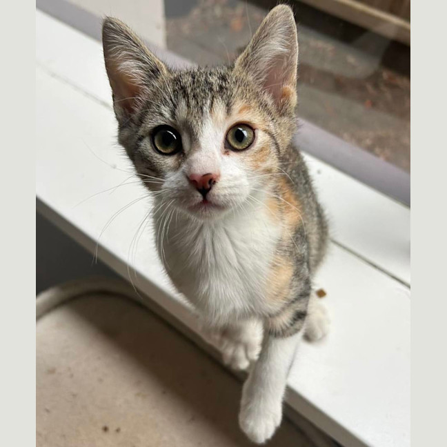 Photo of Rainer 🎄❤️