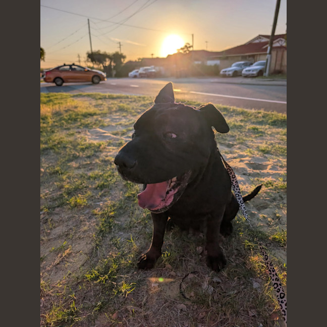Photo of Skye