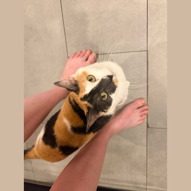 Photo of Rosie