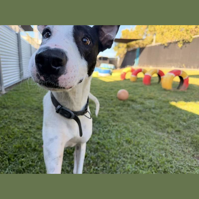 Photo of Aero