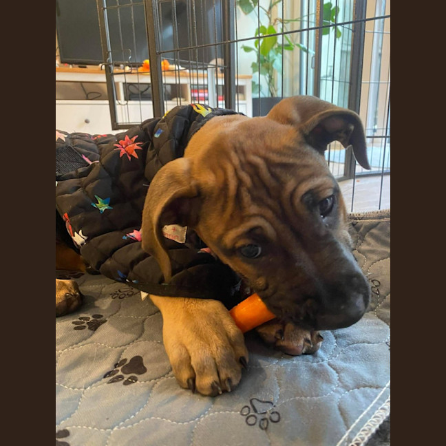 Photo of Ginny