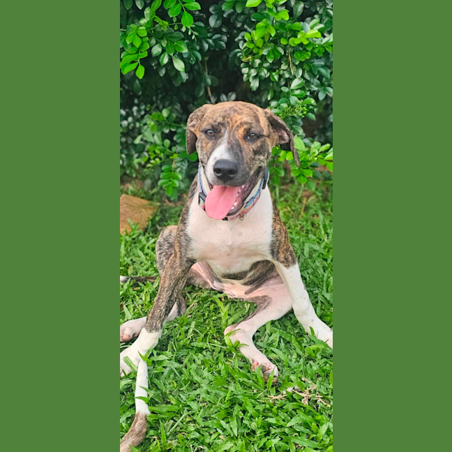 Photo of Catia