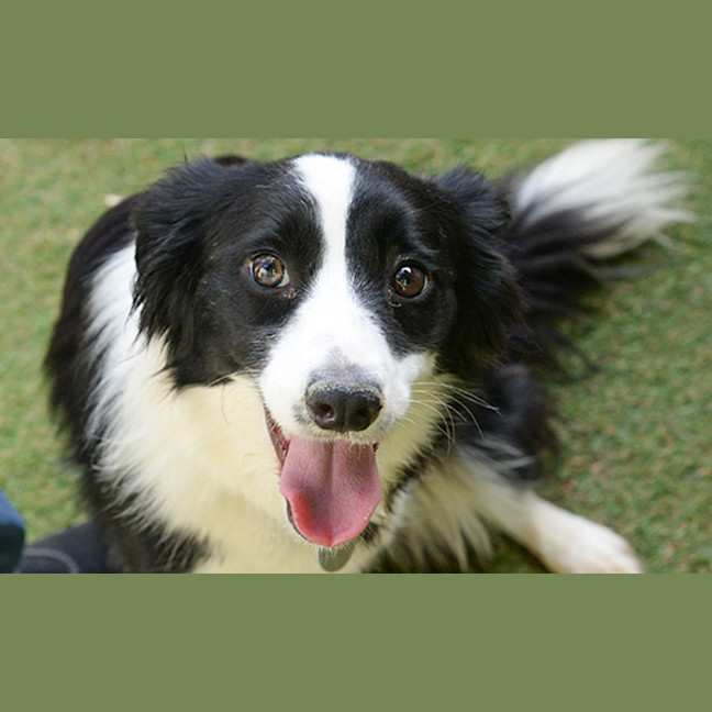 Photo of Lola