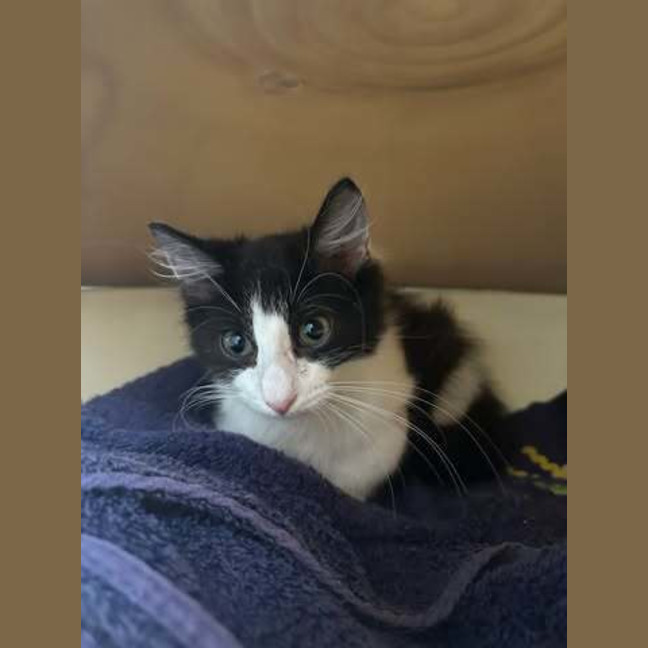 Photo of Jasper