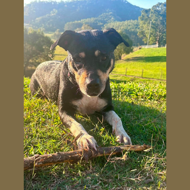Photo of Tess