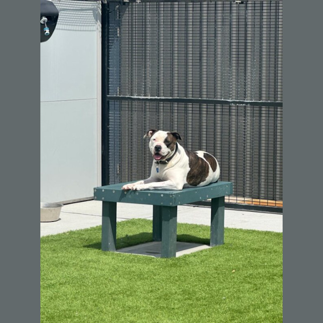 Photo of Jessie