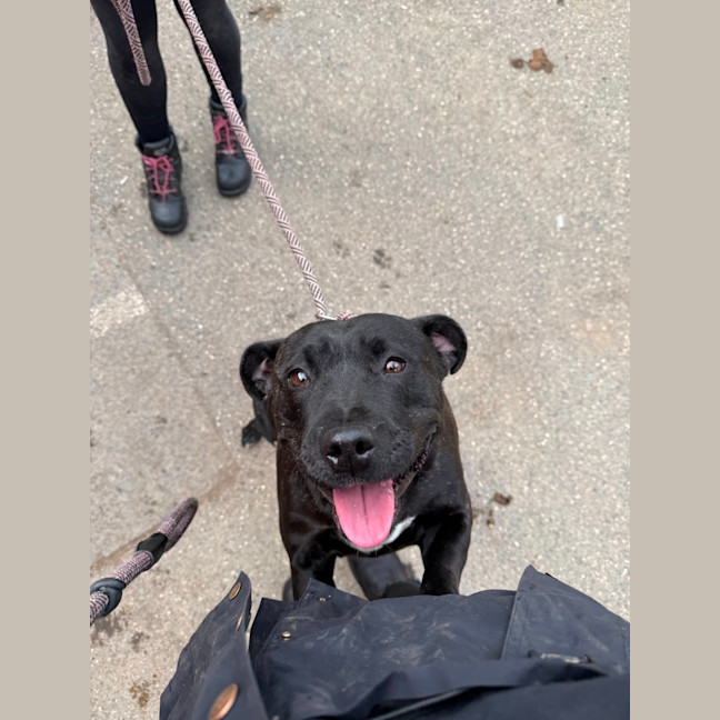 Photo of Gypsy