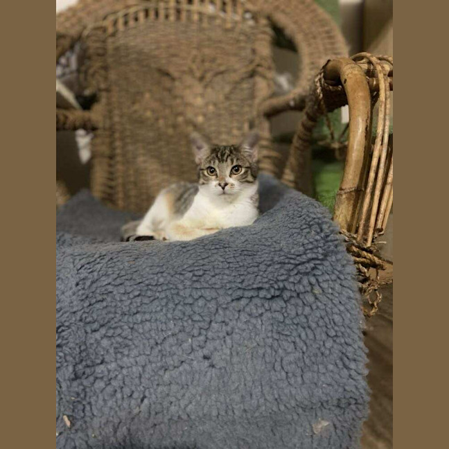 Photo of Helena