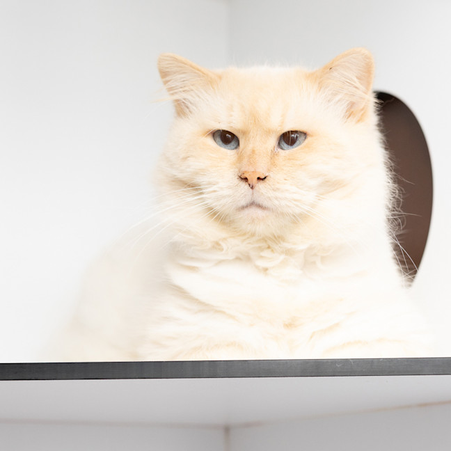 Photo of Fergus