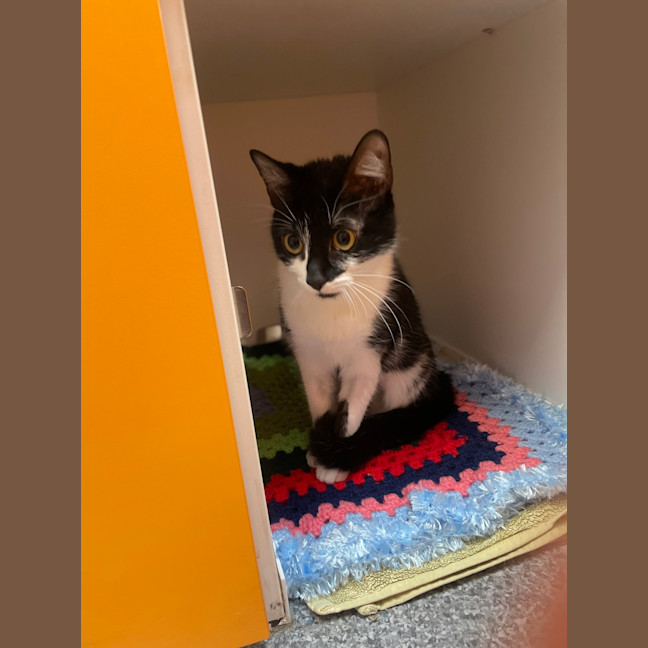 Photo of Maggie Walley