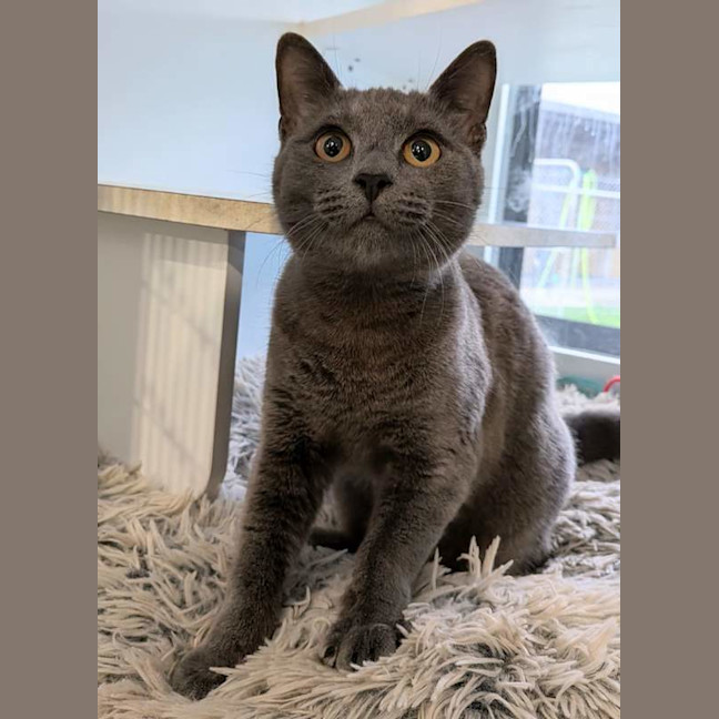 Photo of Monty