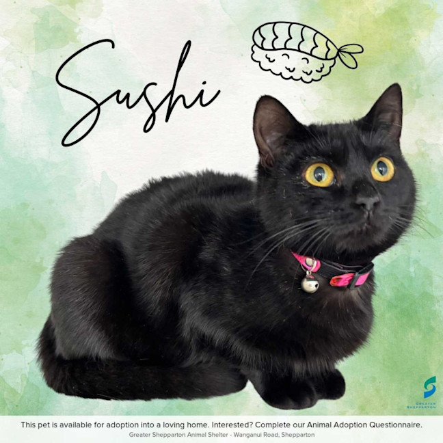 Photo of Sushi