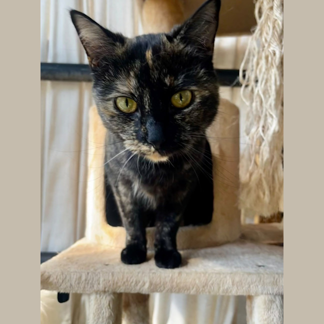 Photo of Rosie