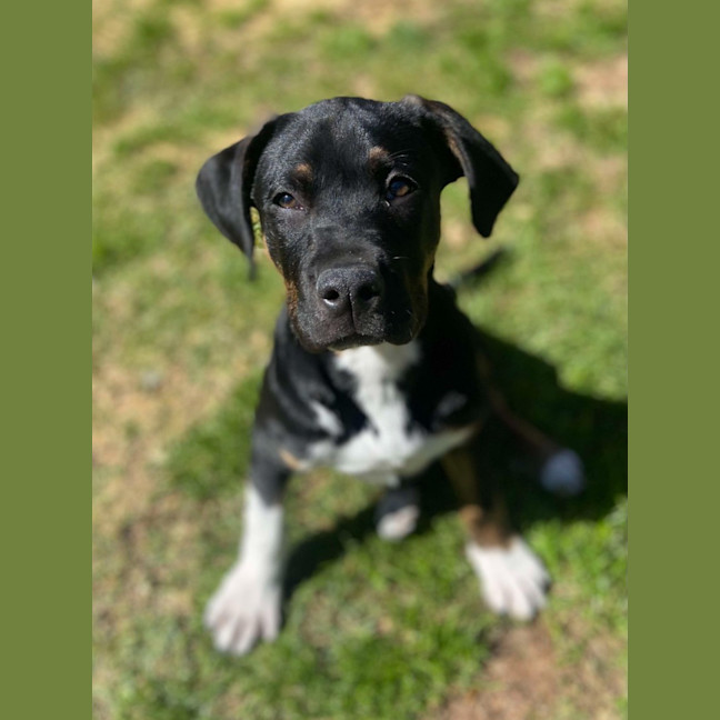 Photo of Wilbur
