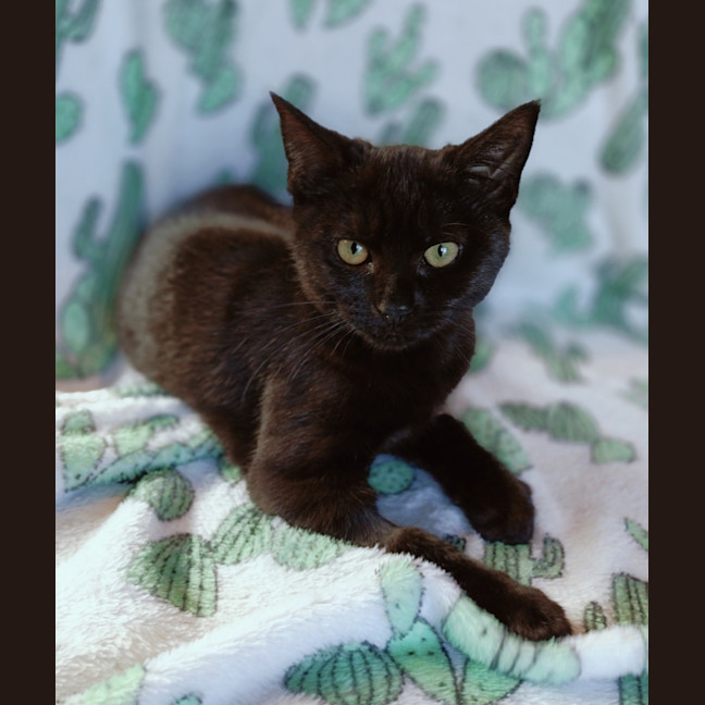 Photo of Ada