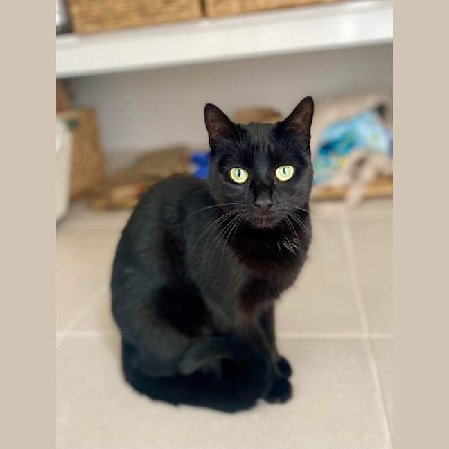 Photo of Lily