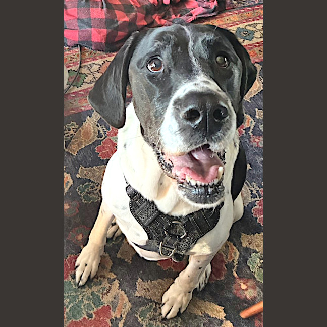 Photo of Roxy