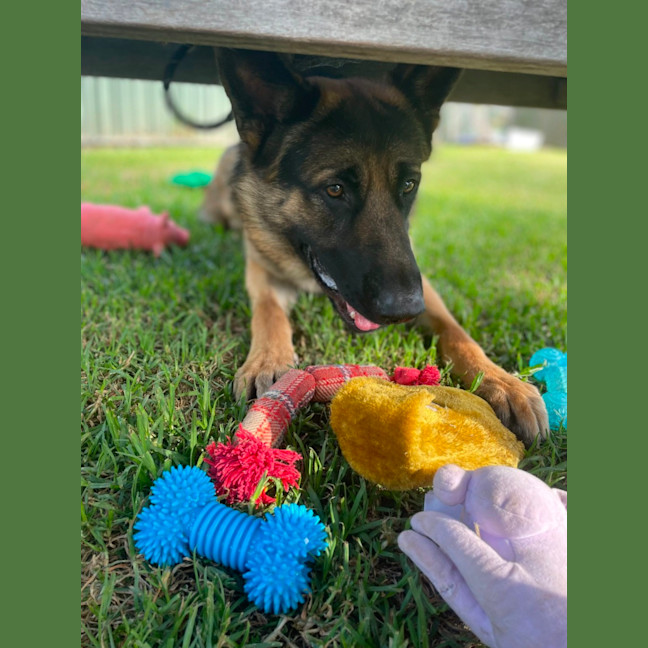 Photo of Oscar Brown