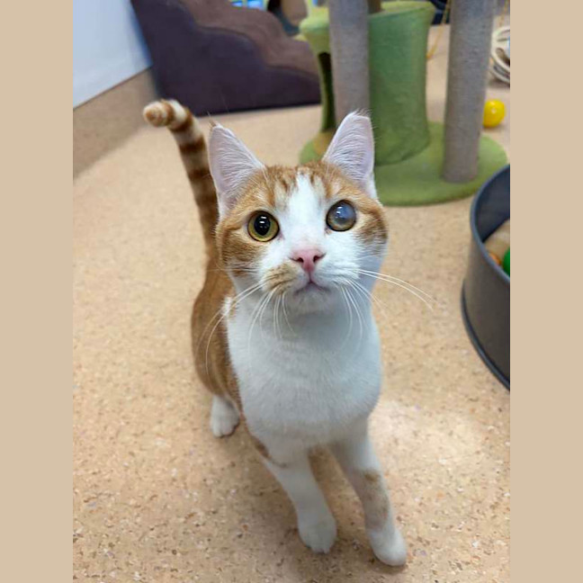 Photo of Baby Gingy