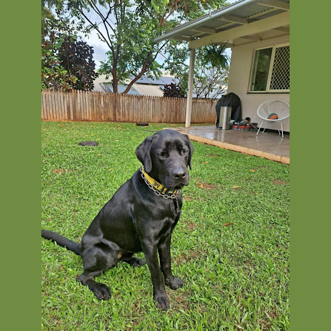 Photo of Paddy
