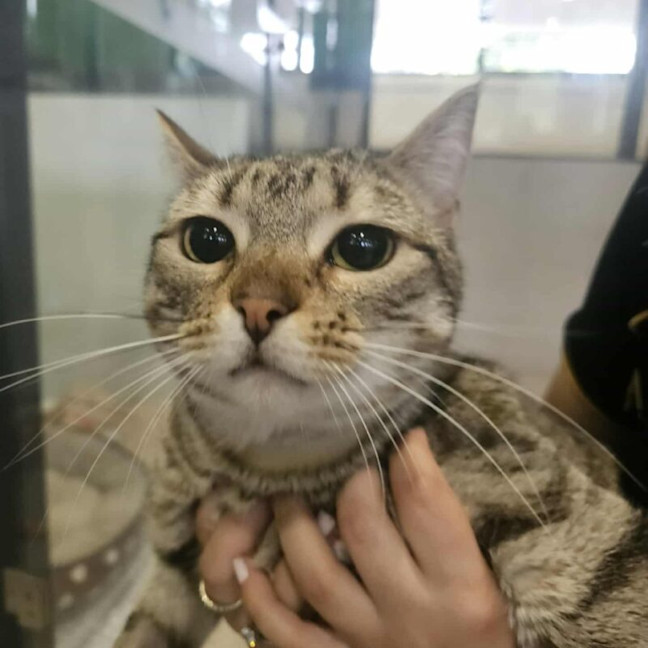 Photo of Mighty Mouse