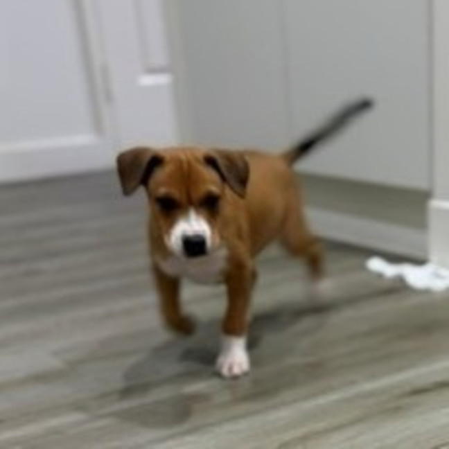 Photo of Charlie