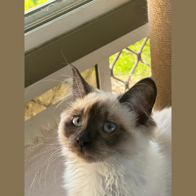 Photo of Salty