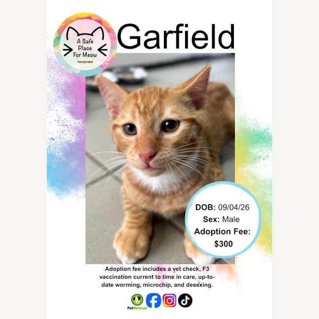 Photo of Garfield