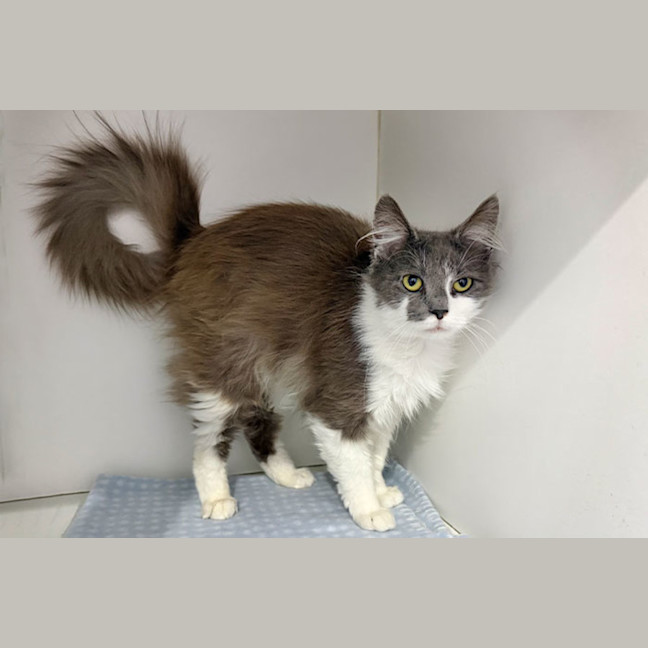 Photo of Elroy