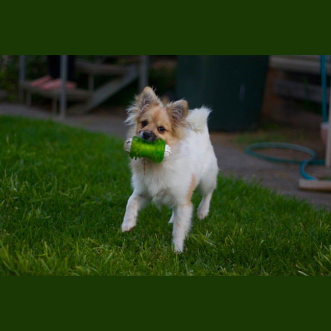 Photo of ☀️ Sonny ☀️