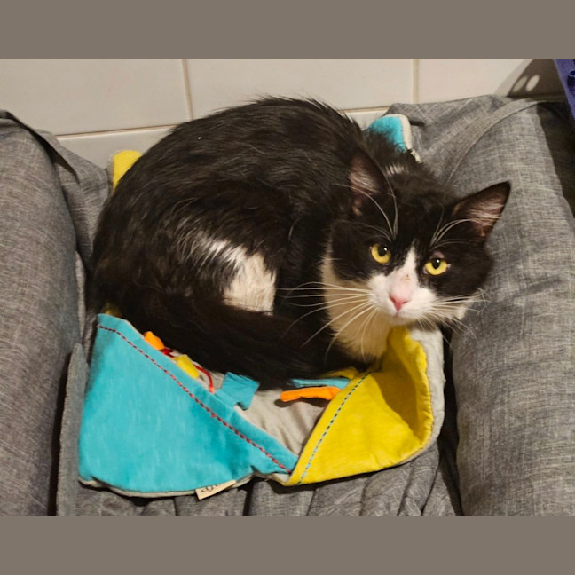 Photo of Dudley Kumara