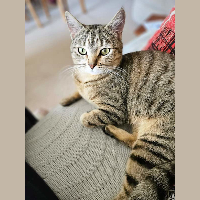 Photo of Miss Smooch