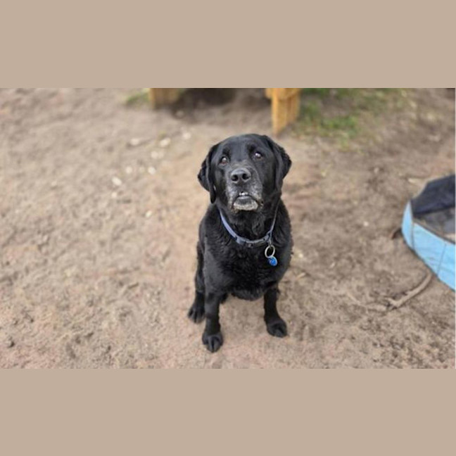 Photo of Wilbur