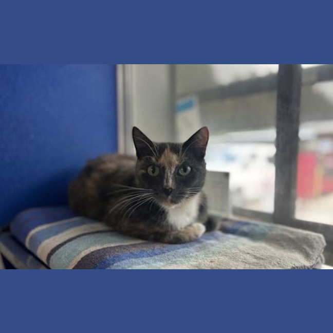 Photo of Valentina