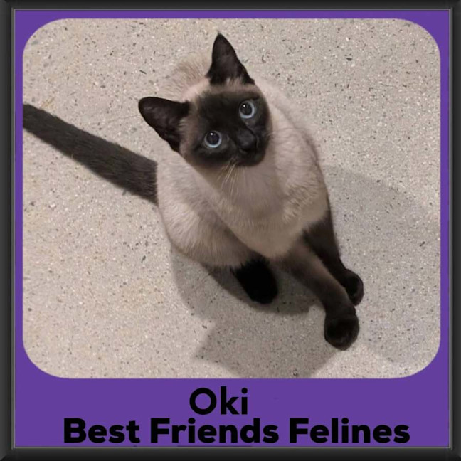 Photo of Oki 