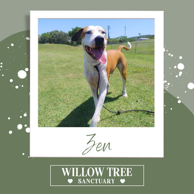 Photo of Zen