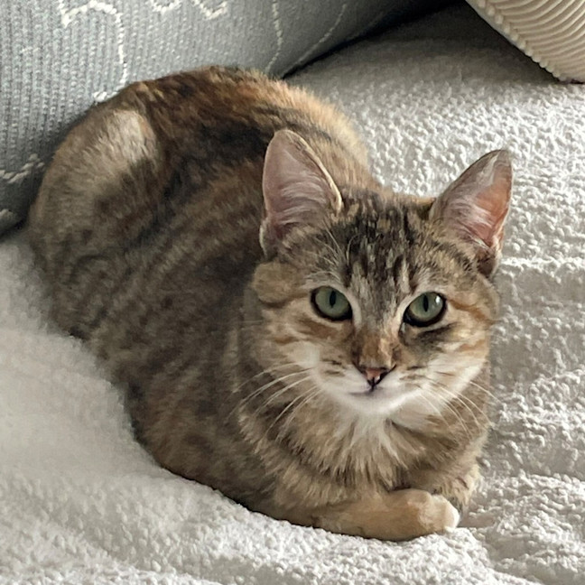 Photo of Misha