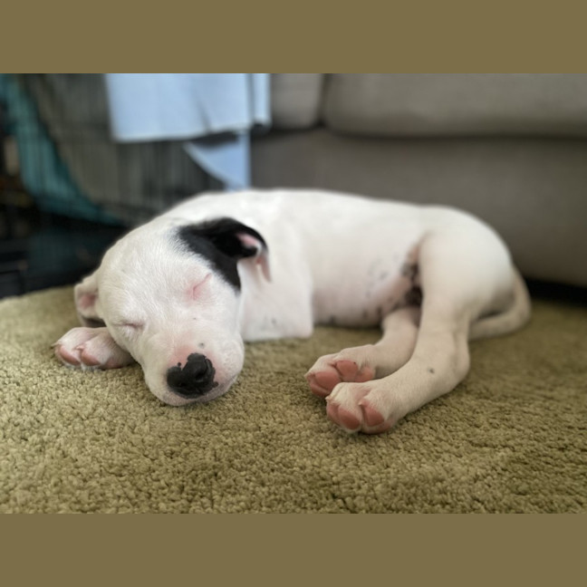 Photo of Eeny