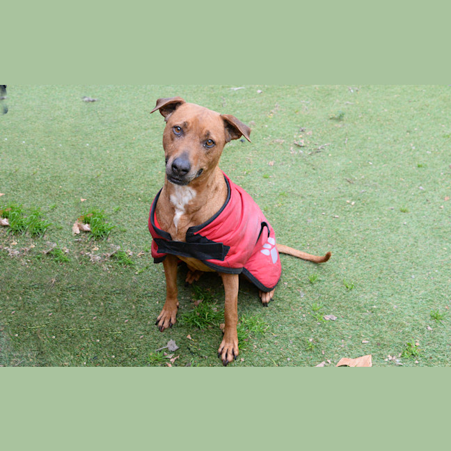 Photo of Cleo