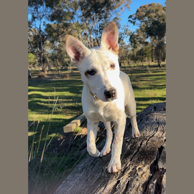 Photo of Moira
