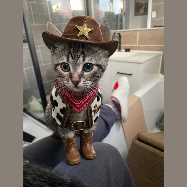 Photo of Boot Scootin Rudy