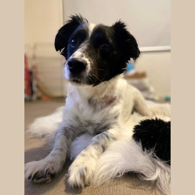 Photo of Sam Jablonski