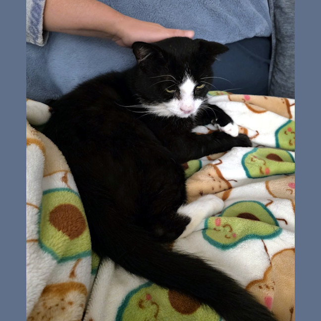 Photo of Alfonze Sta015011