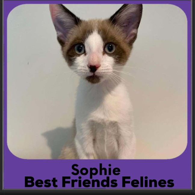 Photo of Sophie 