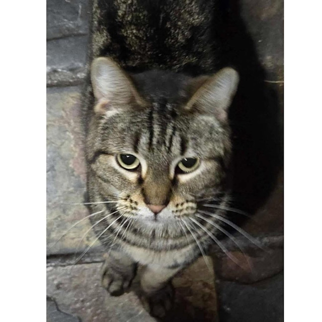 Photo of 11369   Dawn