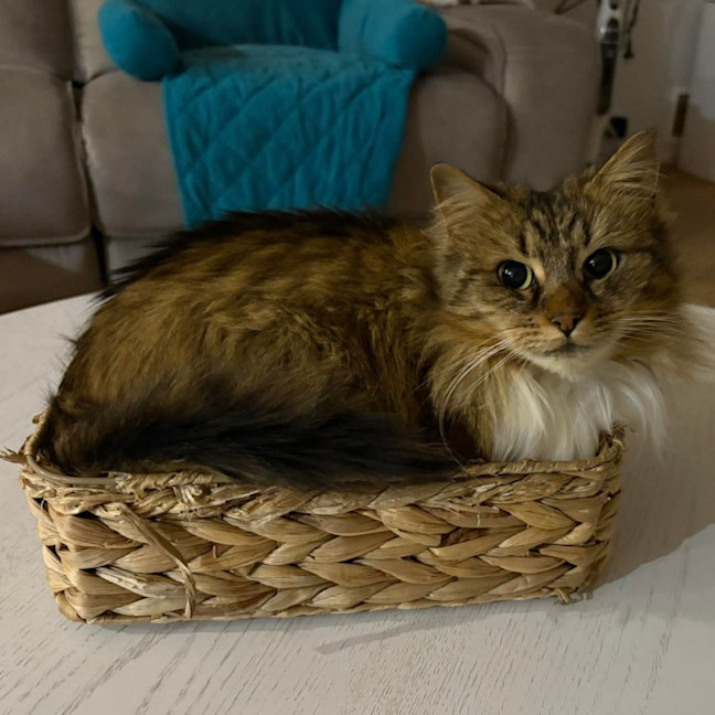 Photo of Daisy