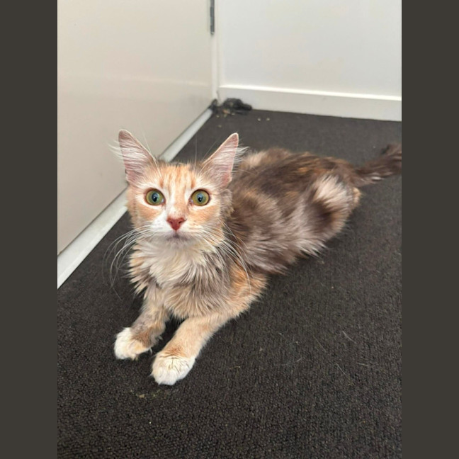 Photo of Sally